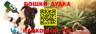 дживик Аша